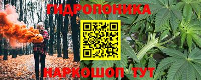 винт Кандалакша